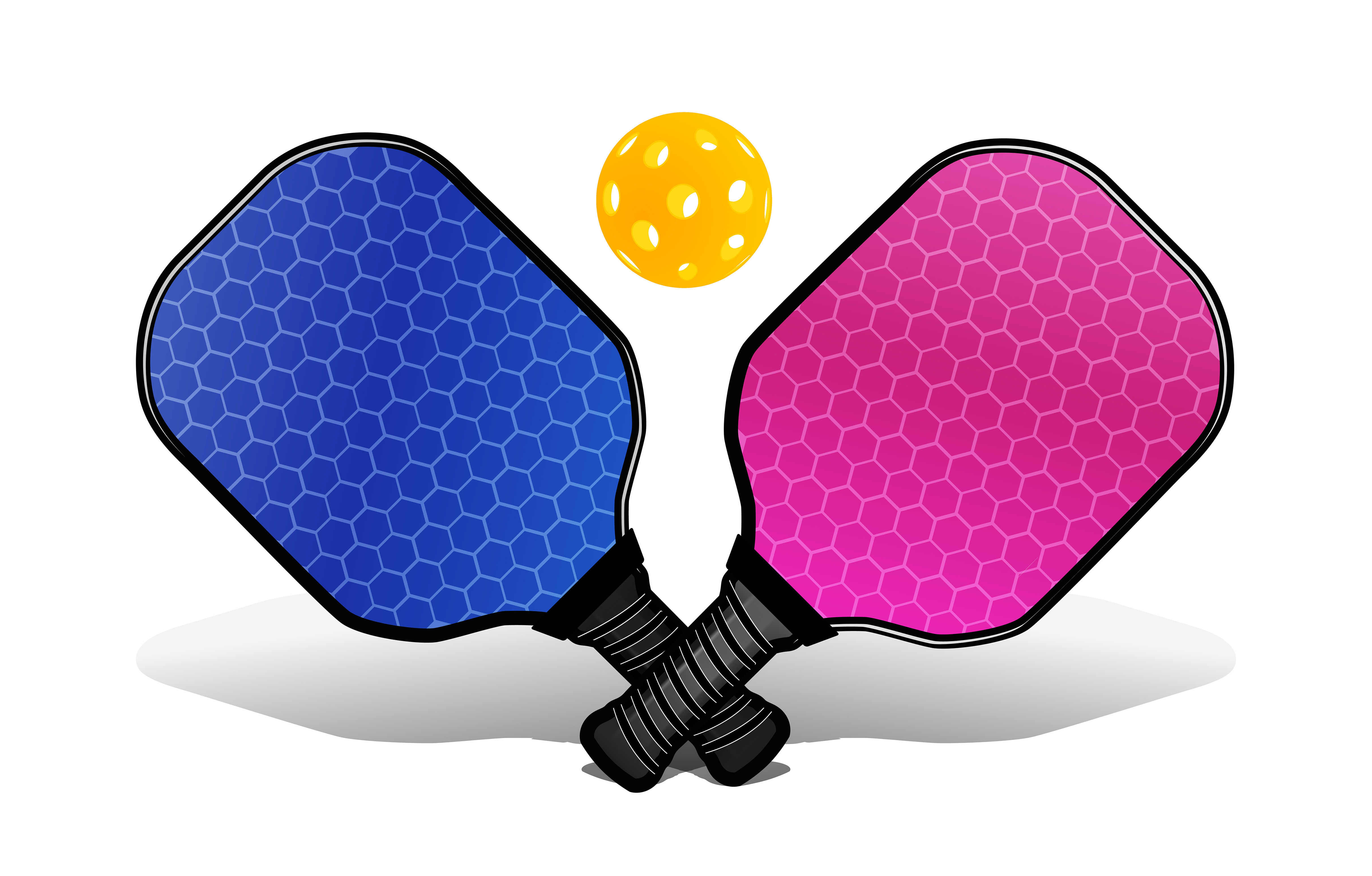 Pickleball Paddles