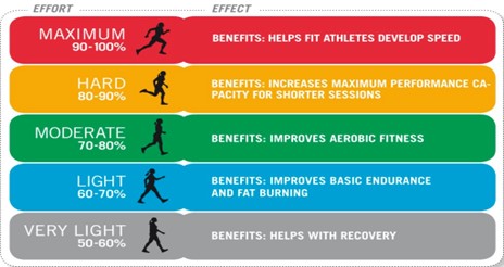 Creek Fit News February 2026 2