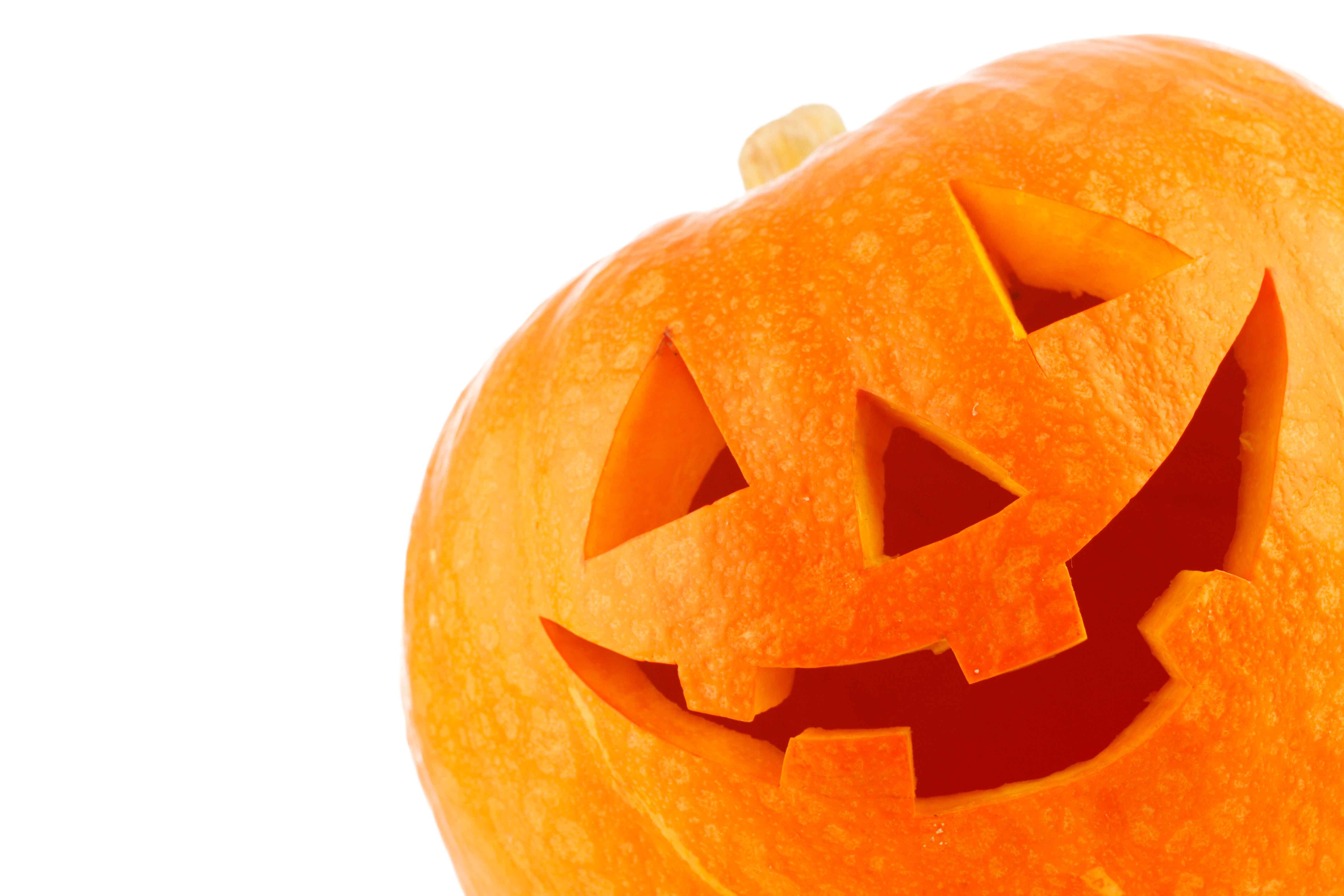 Coconut Creek A Pumpkin Carvin Good Time
