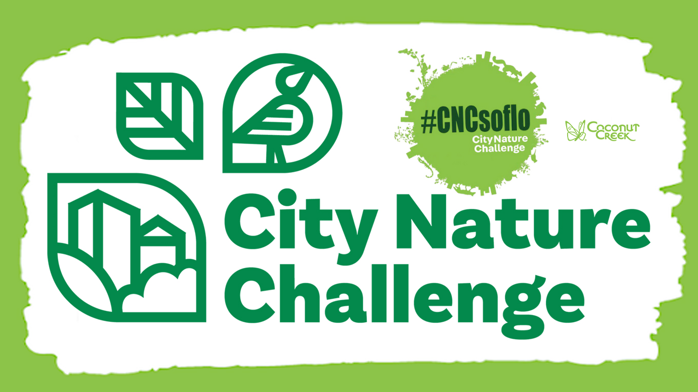 South Florida Nature Challange Subpage Banner copy South Florida Nature Challange Subpage Banner copy