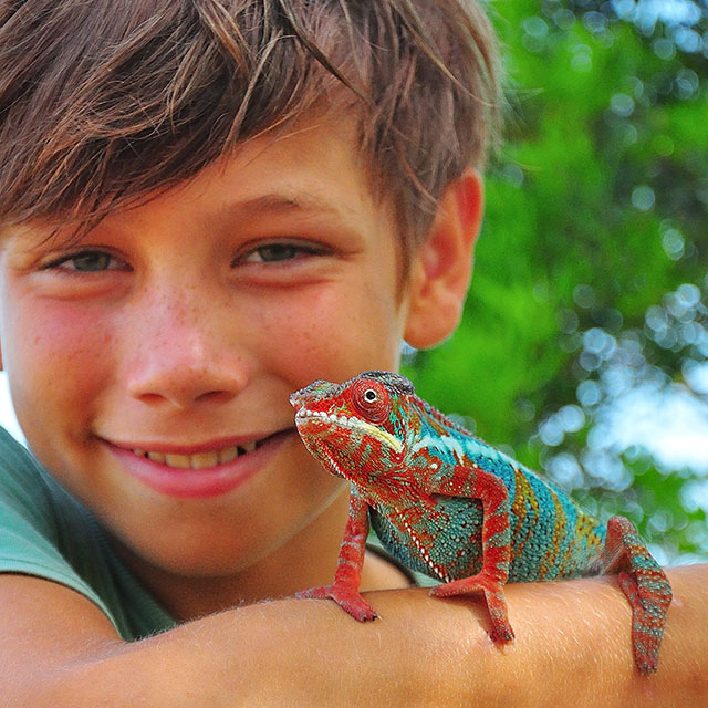 Animal Services Boy With Reptile