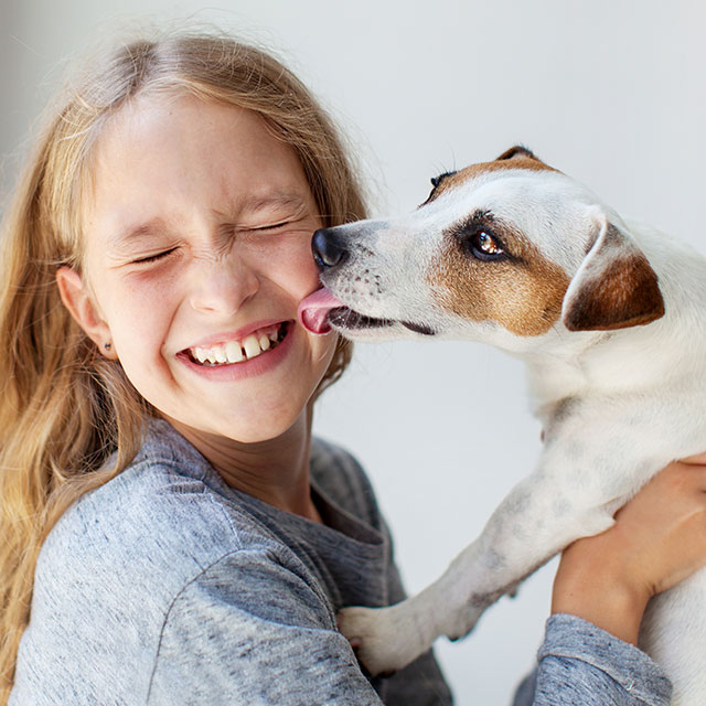 Animal Services Girl With Dog