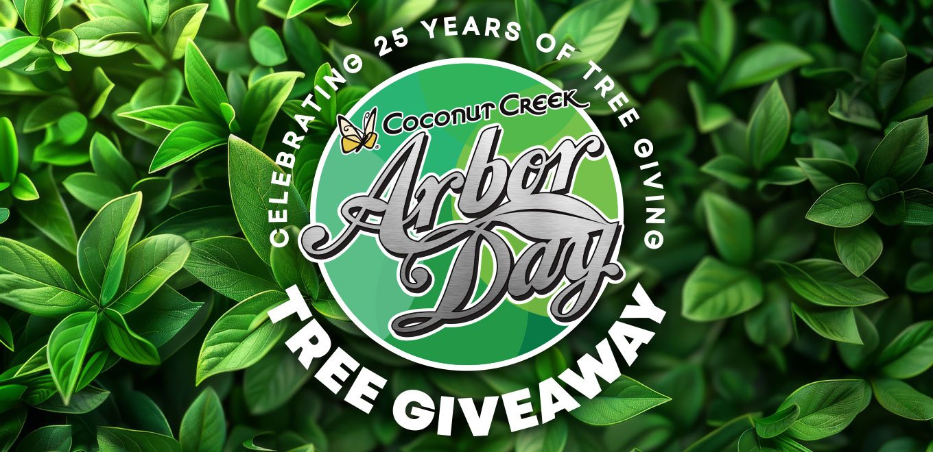 Coconut Creek Arbor Day 2025 Free Tree Giveaway Coconut Creek Arbor Day 2025 Free Tree Giveaway