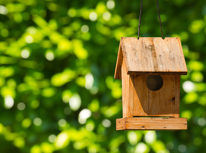 Habitat Birdhouse Habitat Birdhouse