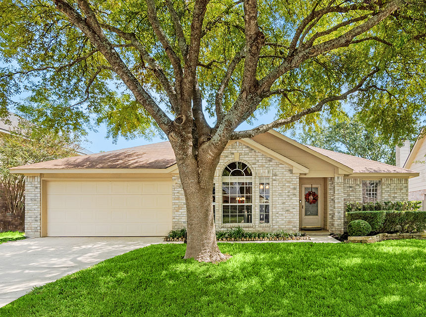 Landscaping Street Tree Landscaping Street Tree