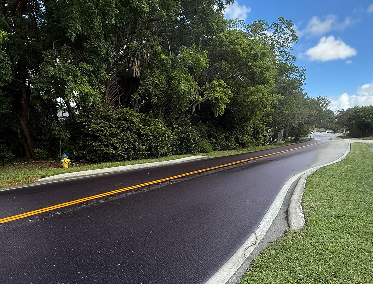 Traffic Calming Measures Traffic Calming Measures