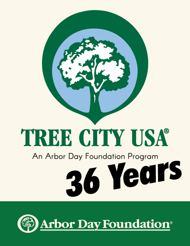 Tree City USA 36 Years