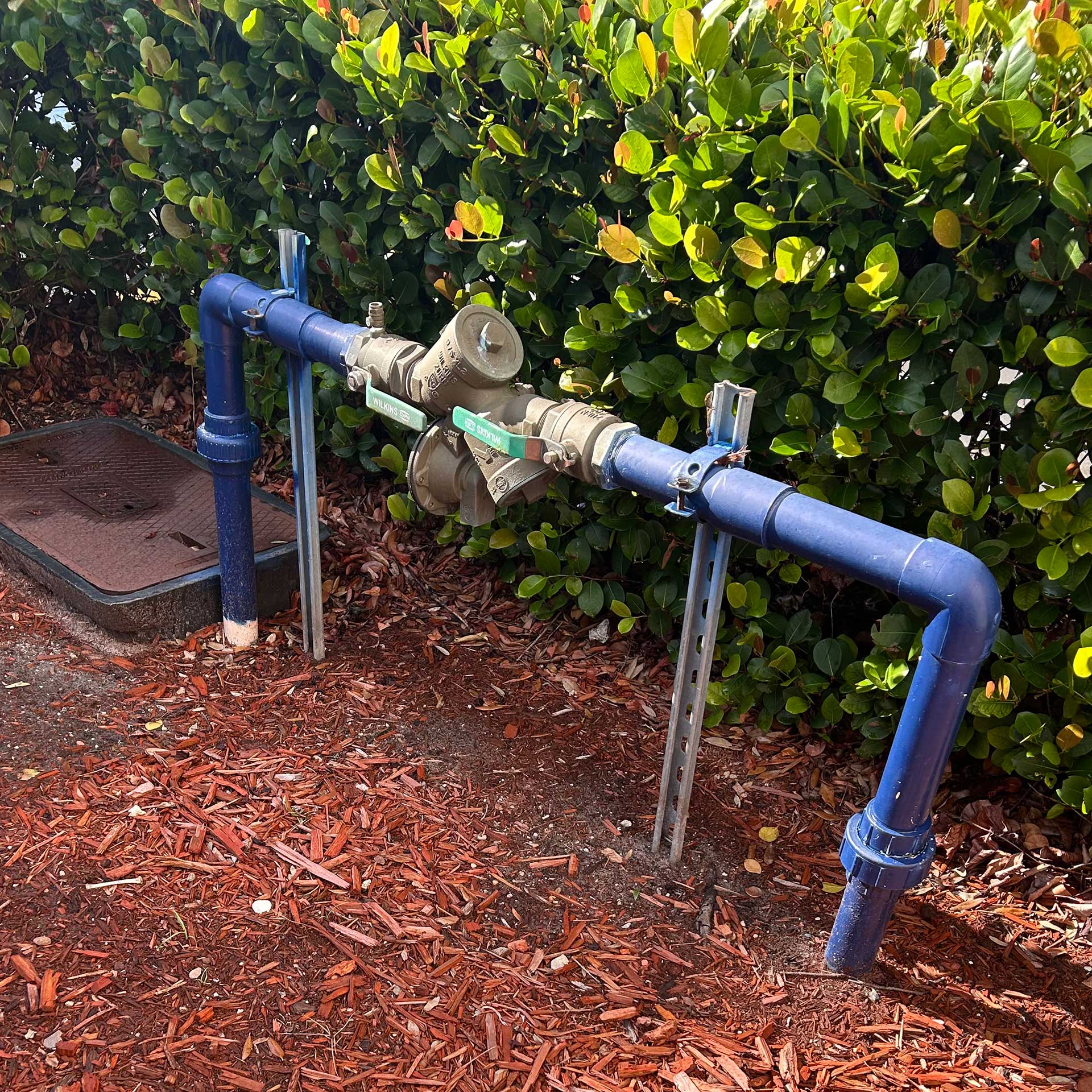 Backflow by Meter Box A backflow preventer beside a water meter box.