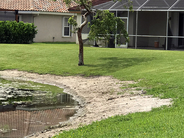 Canals-Stabilzed-Earth-Bank Stabilzed Earth Bank
